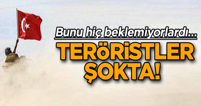 Bunu hiç beklemiyorlardı… Teröristler Şokta!