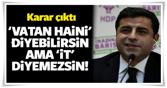 'Vatan haini' diyebilirsin ama 'it' diyemezsin!