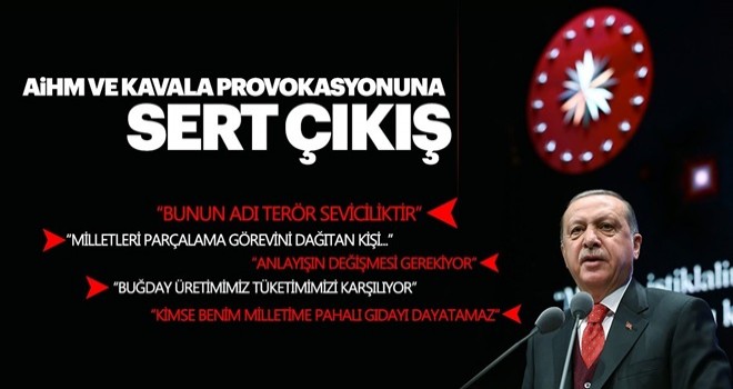 Başkan Erdoğan'dan önemli açıklamalar: Bunun adı terör seviciliktir