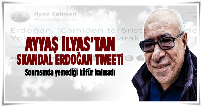 İlyas Salman'dan skandal Erdoğan tweeti!