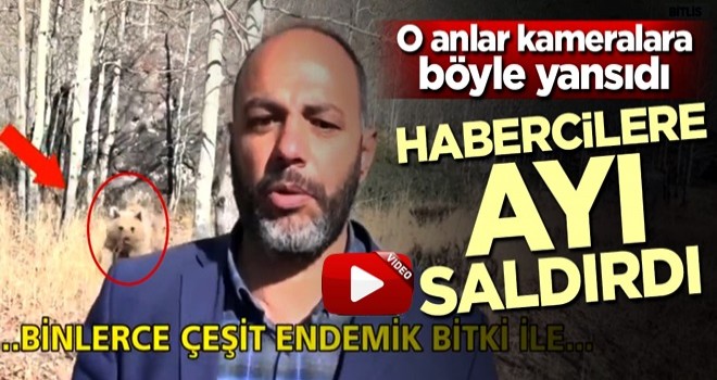 Bitlis'te habercilere ayı saldırdı!