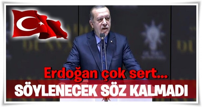 Cumhurbaşkanı Erdoğan: Söylenecek söz kalmadı