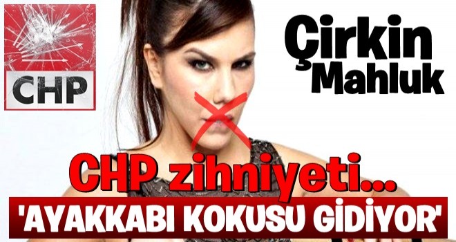 CHP yandaşları sosyal medyada seçmeni böyle aşağıladı .