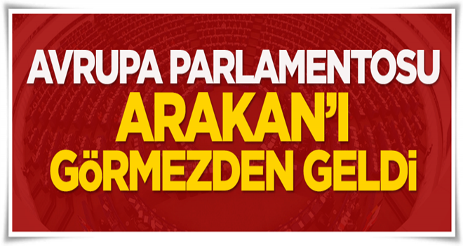 Avrupa Arakan'ı görmezden geldi!