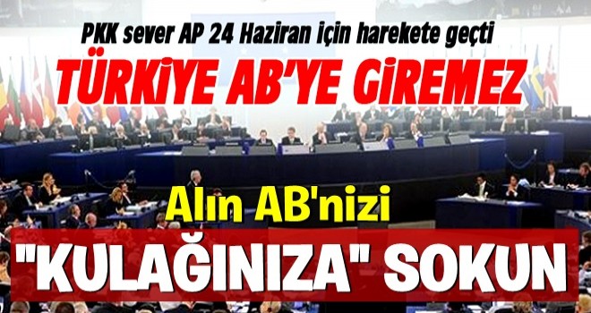 AB ve AP'de Türkiye aleyhine propagandası