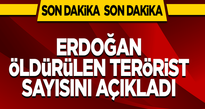 Cumhurbaşkanı Erdoğan öldürülen terörist sayısını açıkladı