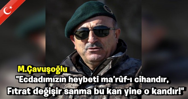 Çavuşoğlu paylaştı, büyük beğeni aldı