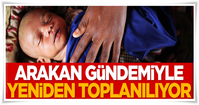 Arakan gündemiyle yeniden toplanılıyor