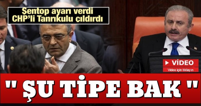 Şentop'tan CHP'li Tanrıkulu'na ayar: Şu tipe bak