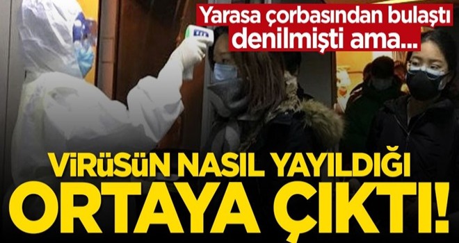 Korona virüsünün yılanlardan insanlara geçtiği açıklandı