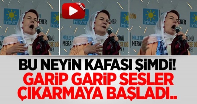 İP'li Meral Akşener mitingde uludu: Heeeuvvv!