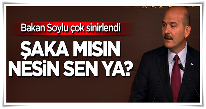 Bakan Soylu çok sinirlendi: Kamera şakası mısın nesin ya?