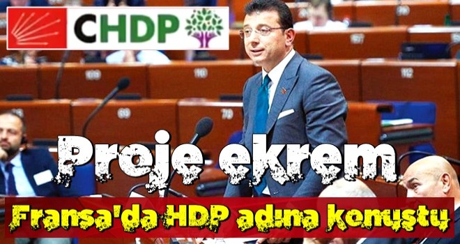 Avrupa'da HDP adına konuştu