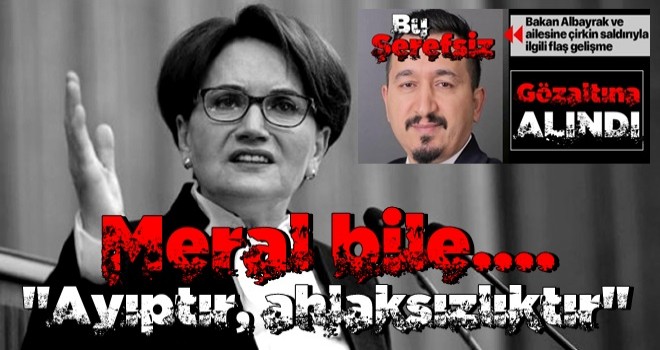 İP Genel Başkanı Meral Akşener'den tepki: Ahlaksızlık