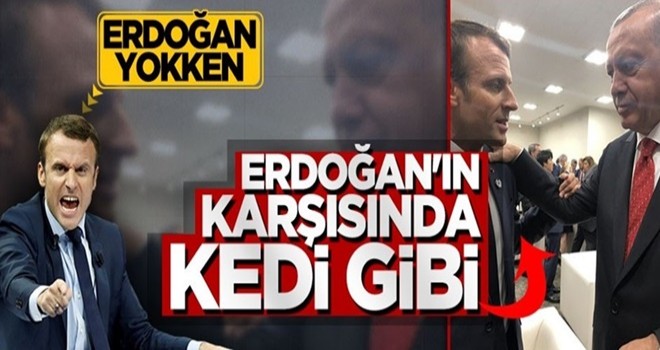 Başkan Erdoğan yokken aslan kesilen Macron, Erdoğan karşısında kedi gibi oldu!