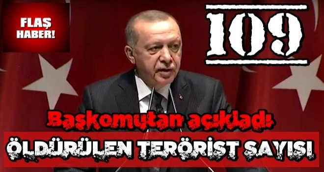 Başkomutan Erdoğan harekatta öldürülen terörist sayısını açıkladı!