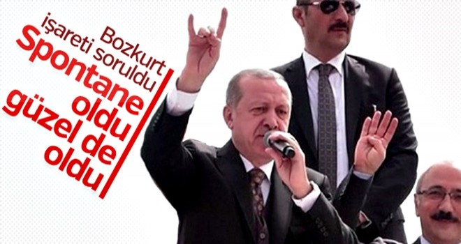 Cumhurbaşkanı Erdoğan'a bozkurt işareti soruldu