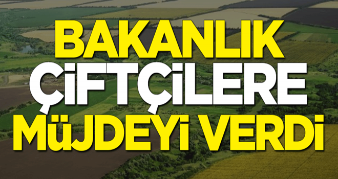 Bakanlık duyurdu: Hazine arazileri tarıma açılıyor