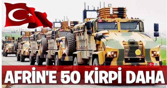 Sevkiyat sürüyor! 50 kirpi daha