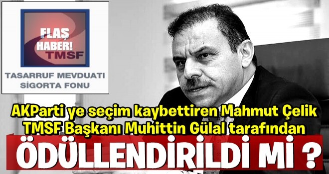 AK Parti'ye seçim kaybettiren Mahmut Çelik, TMSF Başkanı Muhiddin Gülal tarafından ödüllendirildi mi?