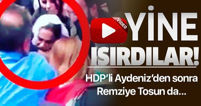 Yine saldırdılar! HDP’li Remziye Tosun, polisin kolunu ısırdı .