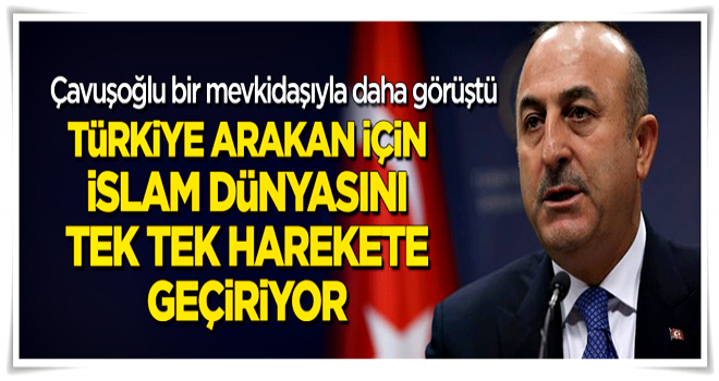 Çavuşoğlu Malezyalı mevkidaşıyla görüştü