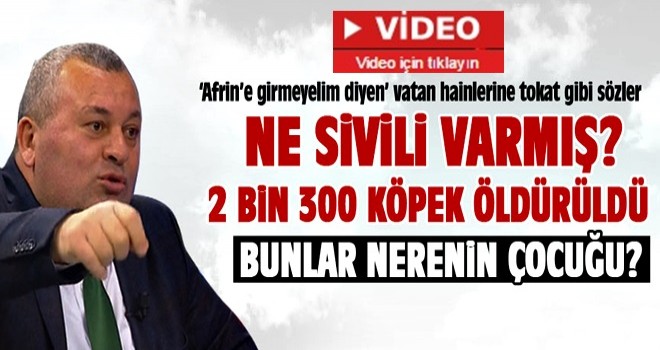 Cemal Enginyurt'tan vatan hainlerine tokat gibi sözler