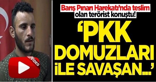 Barış Pınarı Harekatı’nda teslim olan terörist konuştu! 'PKK domuzları ile savaşan...'