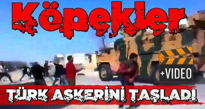 Hainler Türk askerini taşladı!