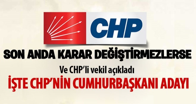 CHP'li İlhan Kesici: 'Cumhurbaşkanı adayımız Muharrem İnce'