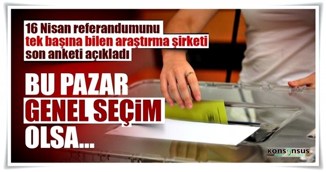 16 Nisan referandumunu tek başına bilen araştırma şirketi son anketi açıkladı