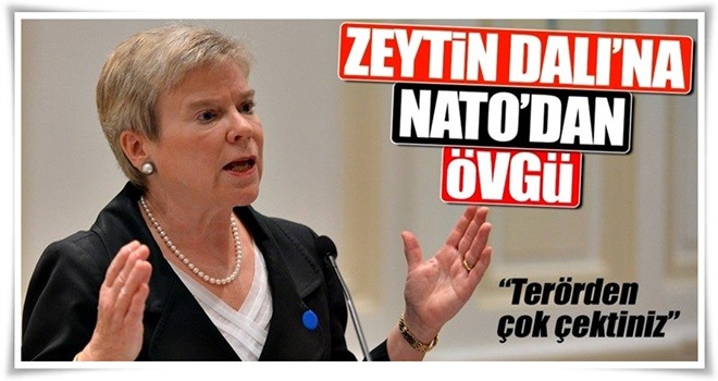 Zeytin Dalı’na NATO’dan övgü