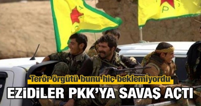 "PKK, gençlerimizi Afrin'de savaştırmak istiyor"