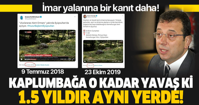 E. İ.oğlu'nun kent ormanı yalanını ortaya çıkaran kaplumbağa detayı .