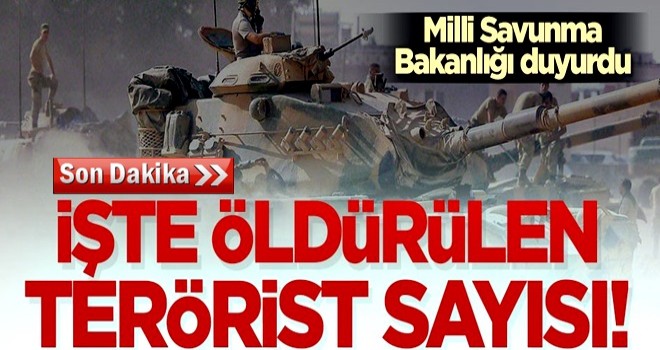 Milli Savunma Bakanlığı duyurdu! İşte öldürülen terörist sayısı