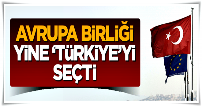 Avrupa Birliği ülkeleri yatırımda yine Türkiye'yi seçti