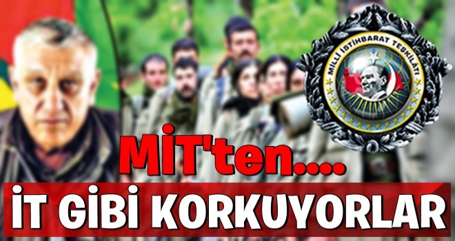 Terör örgütü PKK’da MİT korkusu