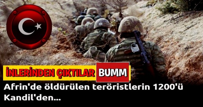 Afrin'de öldürülen teröristlerin 1200'ü Kandil'den...