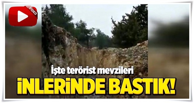 Mehmetçik inlerine girdi, terörist mevzileri tek tek imha edildi