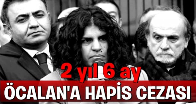 HDP'li Dilek Öcalan'a 2 yıl 6 ay hapis cezası