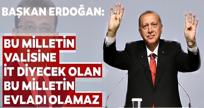 Bu milletin valisine 'it' diyen bu milletin evladı olamaz..