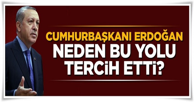 Cumhurbaşkanı Erdoğan neden bu yolu tercih etti?