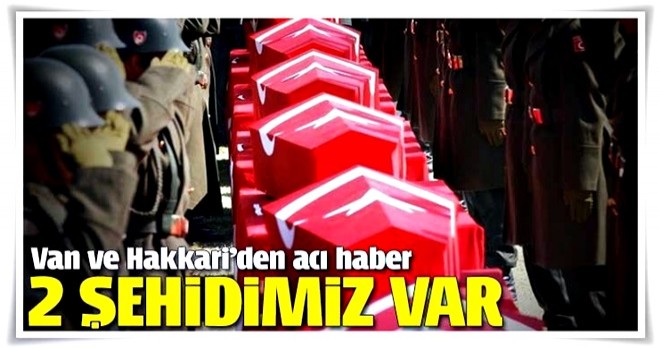 Hakkari ve Van'da tuzak! Şehit ve yaralılarımız var