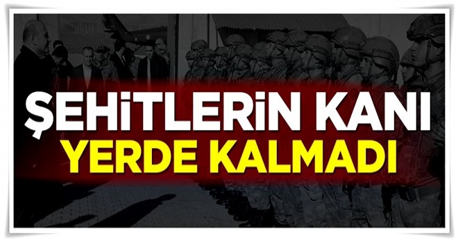 Şehitlerin kanı yerde kalmadı! Hainler öldürüldü