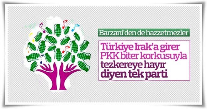 HDP, Irak-Suriye tezkeresine karşı