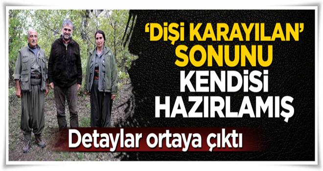 Dişi 'Karayılan' kendi sonunu kendisi hazırladı